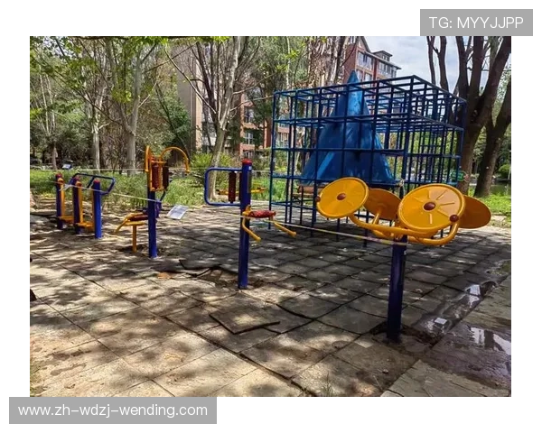 自制混凝土健身器材教程与实测分享