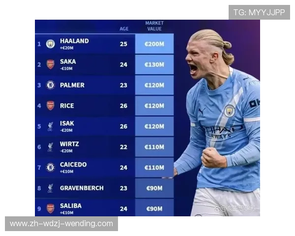 英超最高身价转会球员的转会历程及表现评估