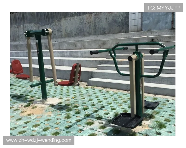 健身器材安装培训内容与合格标准全解析